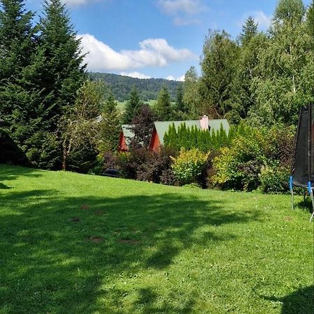 Domki Pod Kiczera W Baligrodzie, Bieszczady 외부 사진
